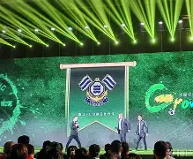 关于弗洛西冈队长受伤,球队战力受损的信息 关于弗洛西冈队长受伤,球队战力受损的信息